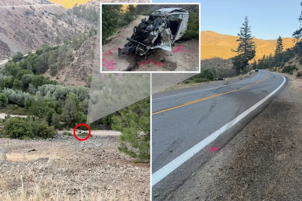 Driver survives 600ft fall from a cliff but is arrested afterward.