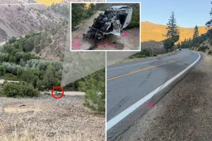Driver survives 600ft fall from a cliff but is arrested afterward.