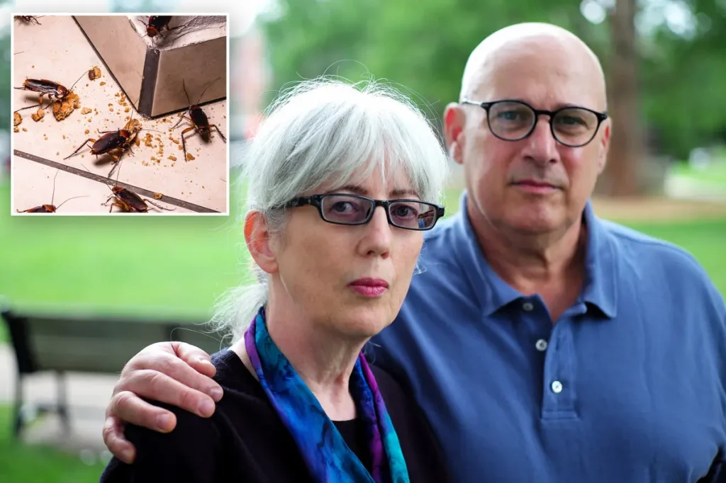 eBay will pay close to $50 million to a couple who received cockroaches and a bloody pig mask.