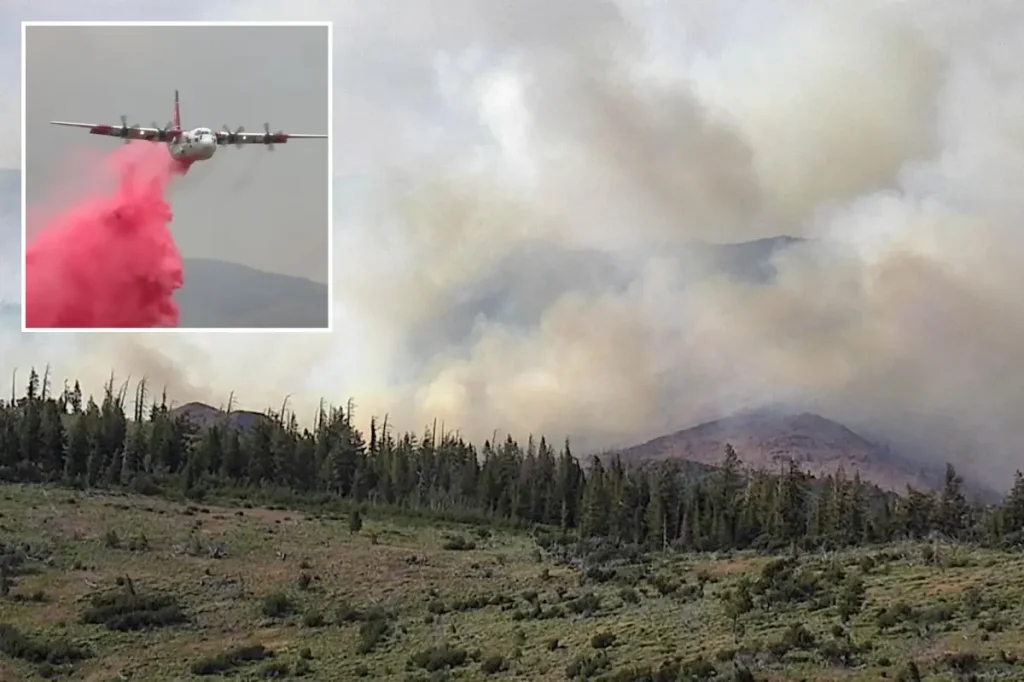 Elephant Fire becomes California’s second-biggest wildfire of 2026.