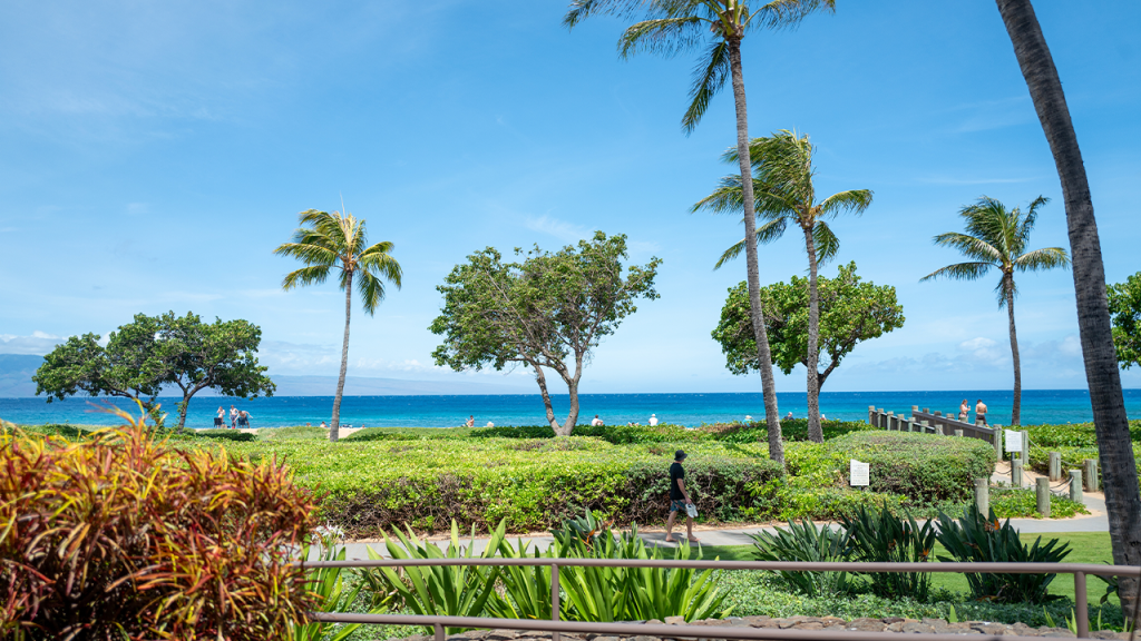 Family seeks answers after violent incident at luxury resort involving alleged hate crime