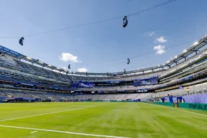 FIFA asking $450 for chunks of pitch to be used in World Cup final