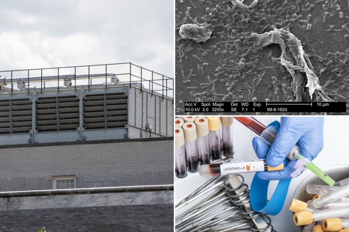 First fatality linked to NYC's outbreak of legionnaires disease as cases increase