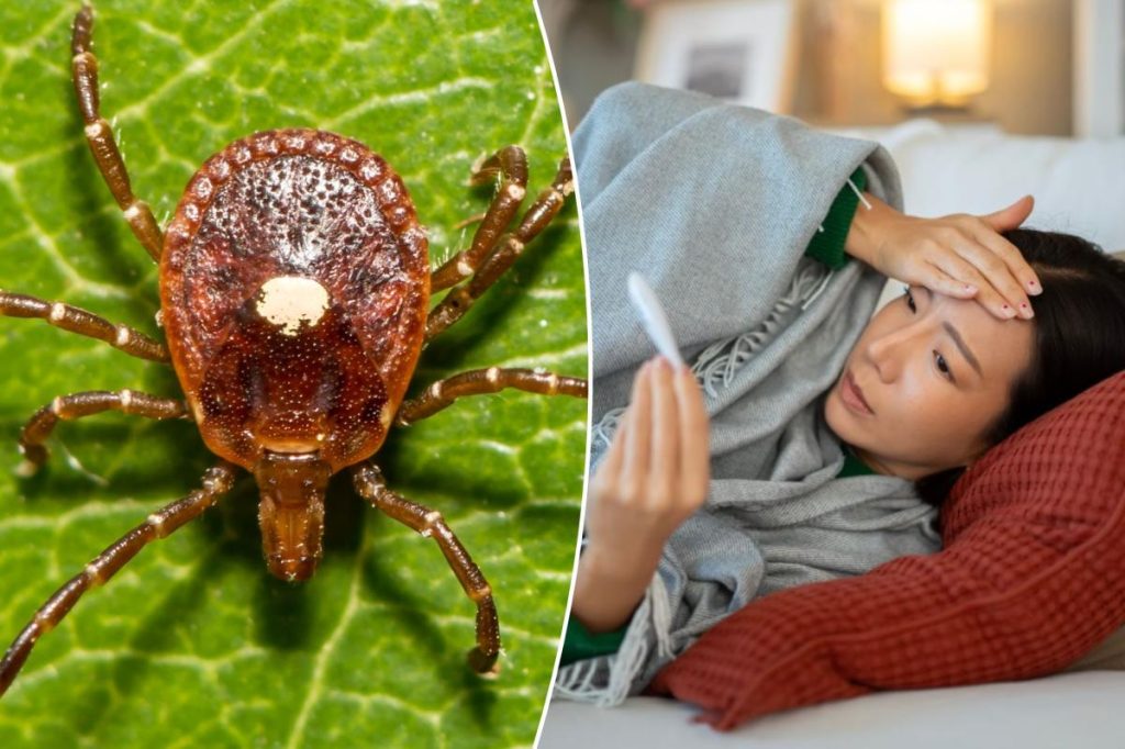 First potential case of deadly Bourbon virus reported in New York