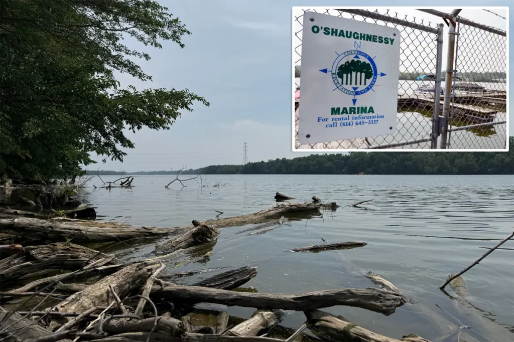 Five people have died after two groups of parents jumped into the Ohio River to help a swimmer in trouble.