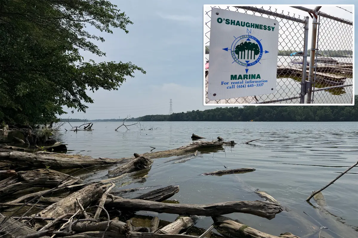 Five people have died after two groups of parents jumped into the Ohio River to help a swimmer in trouble.
