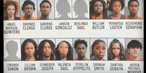 Florida individuals face felony charges for allegedly working together to steal food and drinks from a Wawa, valued at around $40.