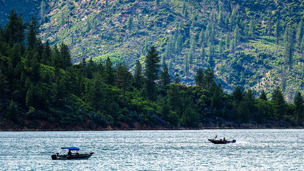 Forest service employees saved following abduction in California national forest