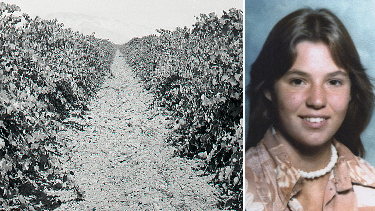 Girl found buried under vineyard identified after 48 years as police search for her killer