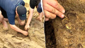 Gold rings with Brahmi script discovered at burial site in Thailand