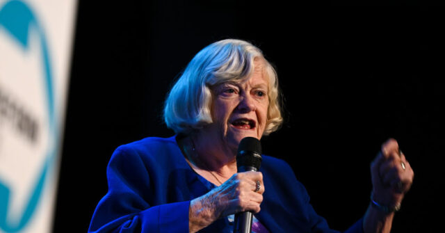 Government Terrorism Expert Criticizes Police for Ann Widdecombe Investigation