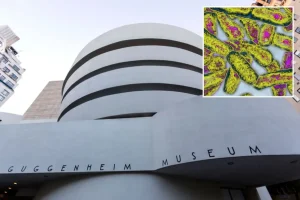 Guggenheim and 30 additional UES buildings identified with Legionnaires' bacteria