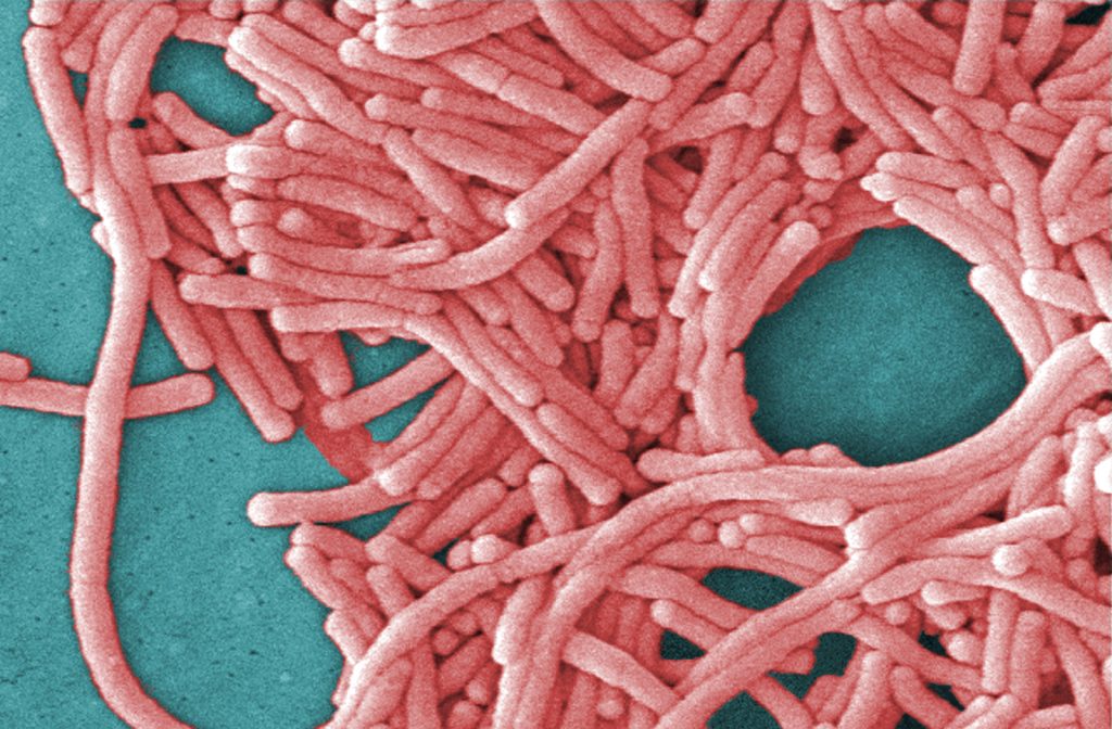 Health officials in New York City investigate the origin of the Legionnaires' outbreak on the Upper East Side associated with 36 cases.