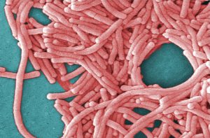 Health officials in New York City investigate the origin of the Legionnaires' outbreak on the Upper East Side associated with 36 cases.