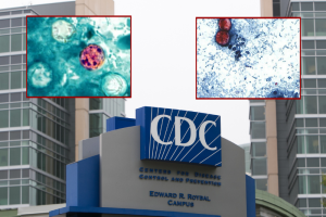 Health officials verify over 2,640 cases of cyclosporiasis, suspect tainted produce.
