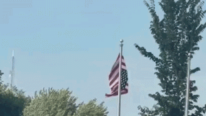 Inverted American flag at Somali gathering in Minnesota gains attention online