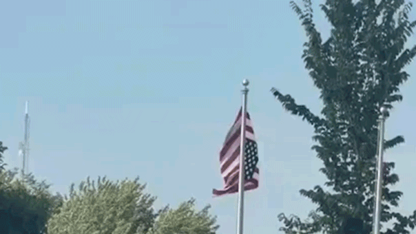 Inverted American flag at Somali gathering in Minnesota gains attention online