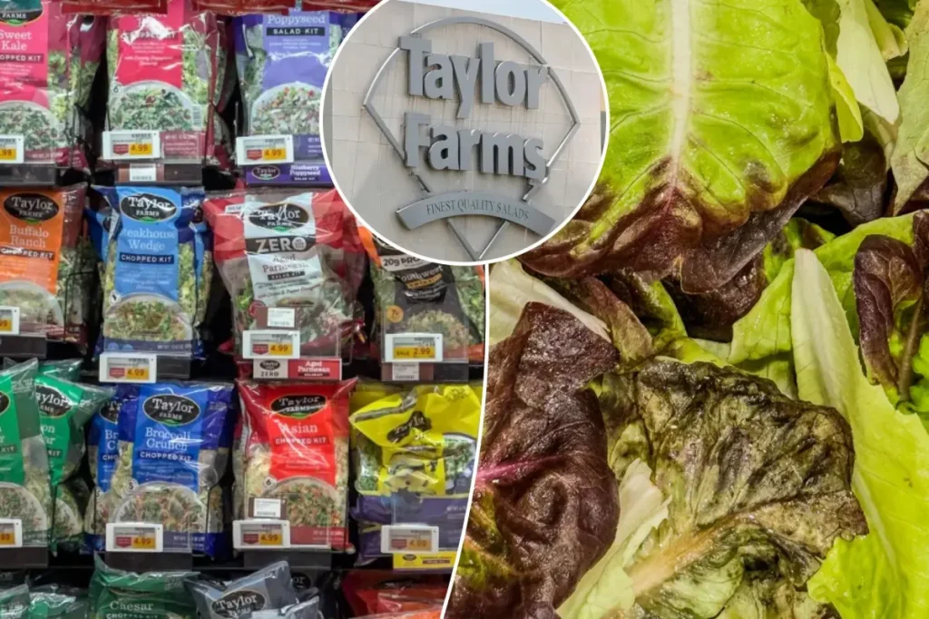 Is it safe to eat lettuce again? Concern over 'explosive diarrhea' outbreak