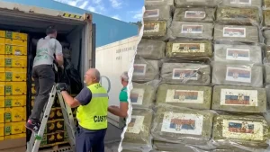 Italian officials confiscate $290 million worth of cocaine concealed in banana shipments