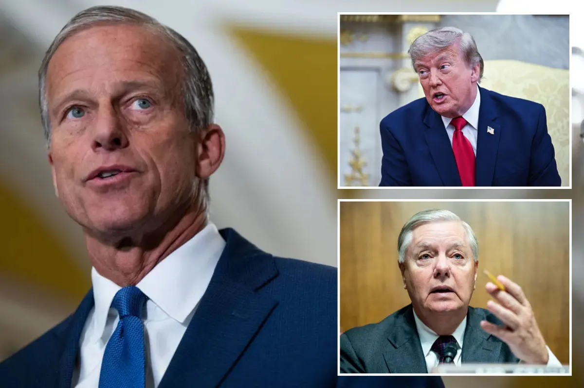 John Thune discusses possible progress on the SAVE America Act, spearheaded by Lindsey Graham.
