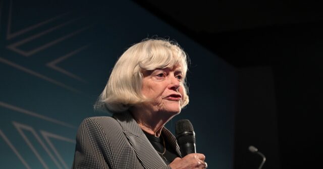 Joshua Kerry Accused of Killing Brexiteer Ann Widdecombe