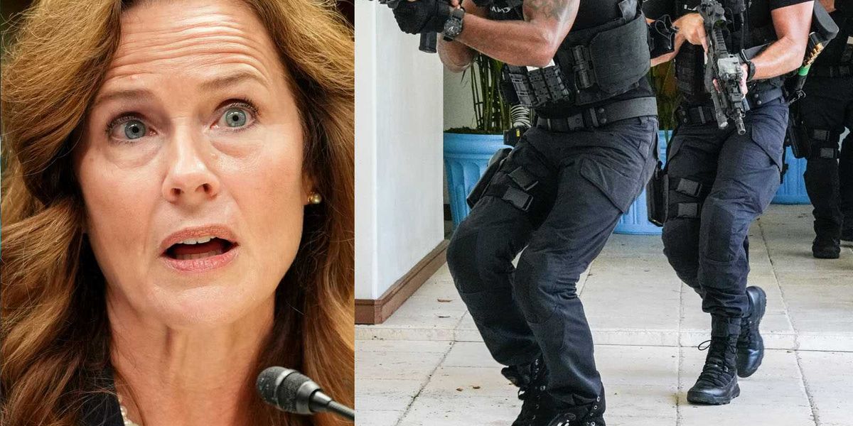 Justice Amy Coney Barrett recounts a SWATTING incident involving her family.