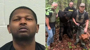K-9 Bloodhound helps in Georgia manhunt resulting in the arrest of a shooting suspect