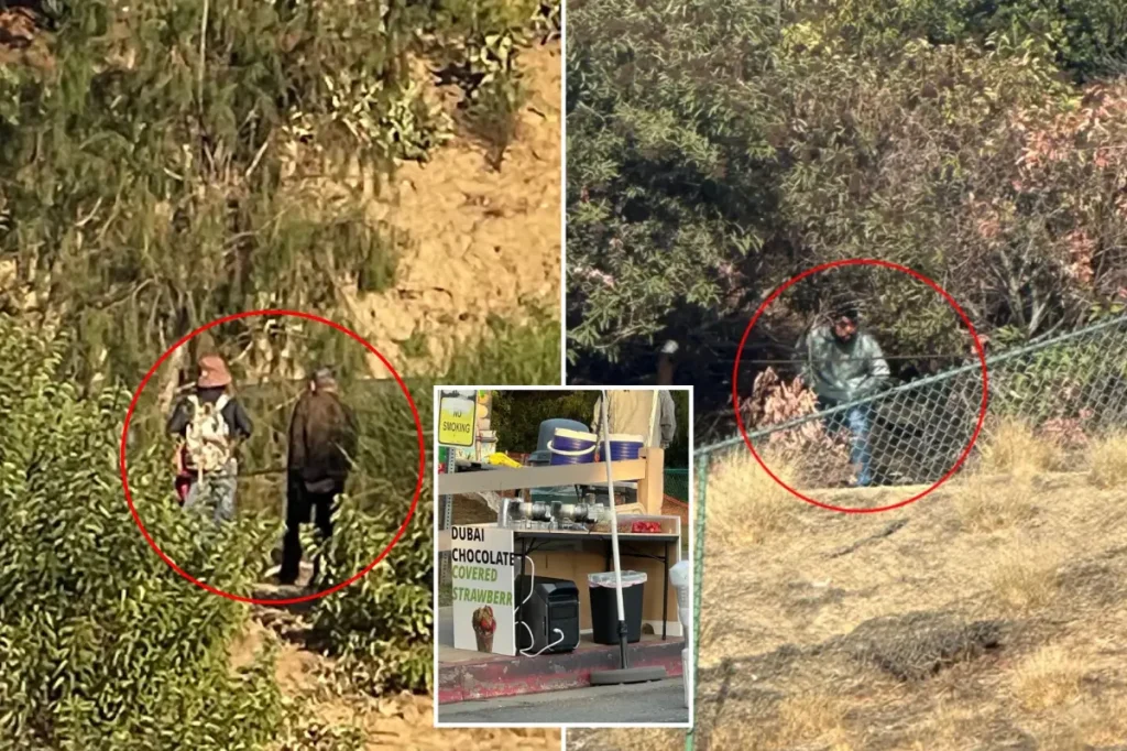 Lake Hollywood Park shaken by a series of truly disturbing incidents