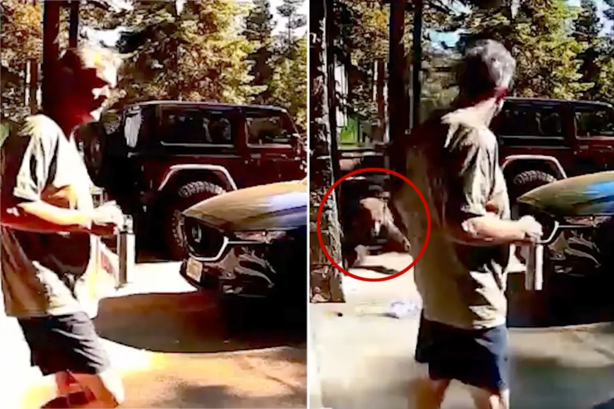Lake Tahoe tourist confronts an aggressive bear