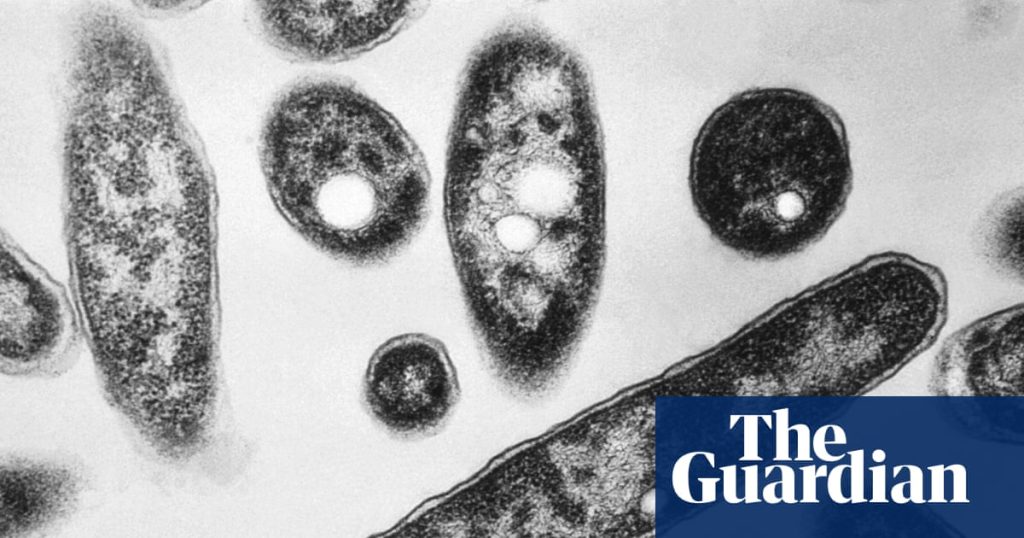 Legionnaires’ outbreak shakes New York as experts caution about increasing climate risk