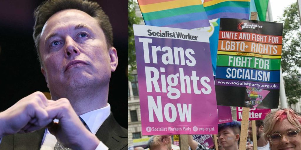 Liberal identifying as transgender appears to suggest the death of Elon Musk due to his remark about the Zizian trans cult.