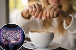 Low-calorie sweeteners can alter gut bacteria