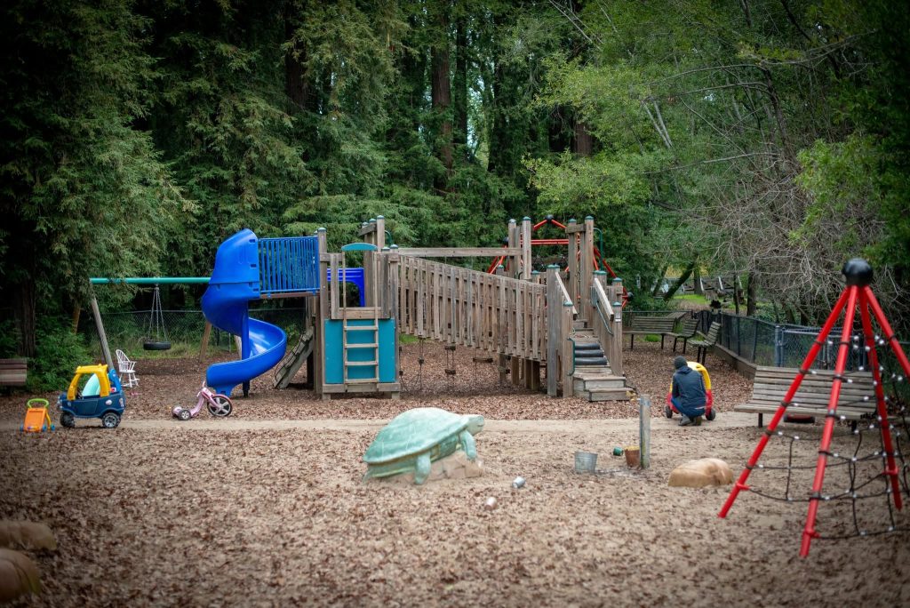 Major flea outbreak shuts down beloved Marin playground