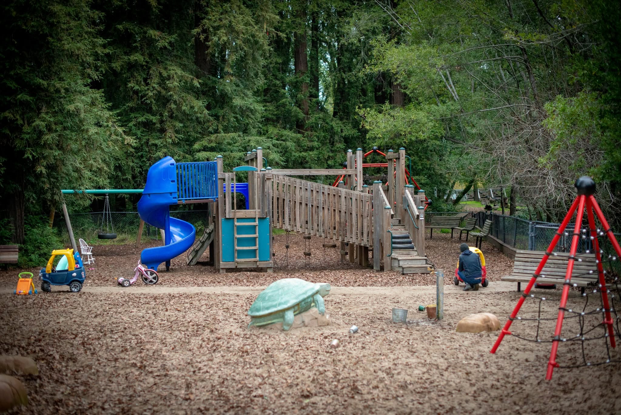Major flea outbreak shuts down beloved Marin playground