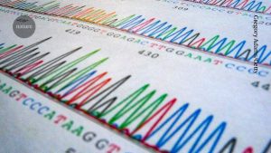 Major research uncovers initial genetic insights for borderline personality disorder