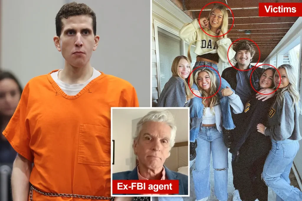 Major unresolved issues in University of Idaho killings following Kohberger's plea, according to former FBI agent