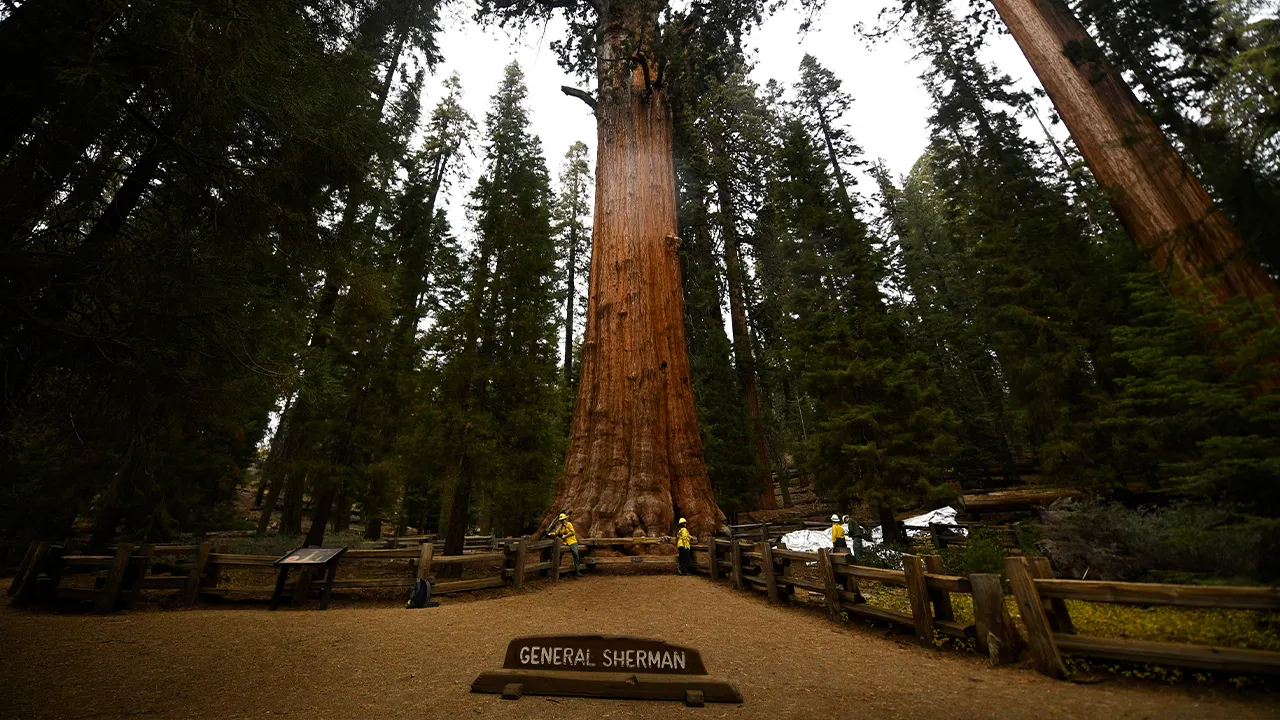 Man from Nevada passes away on General Sherman Tree Trail in Sequoia National Park