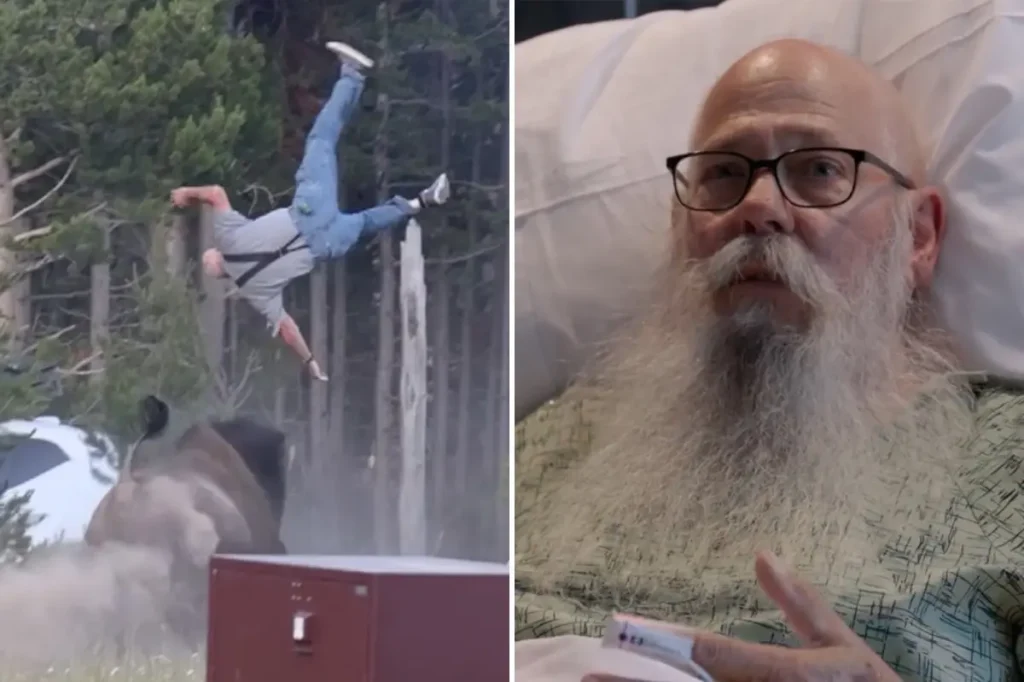 Man thrown 8 feet into the air by Yellowstone bison shares his experience from the hospital bed