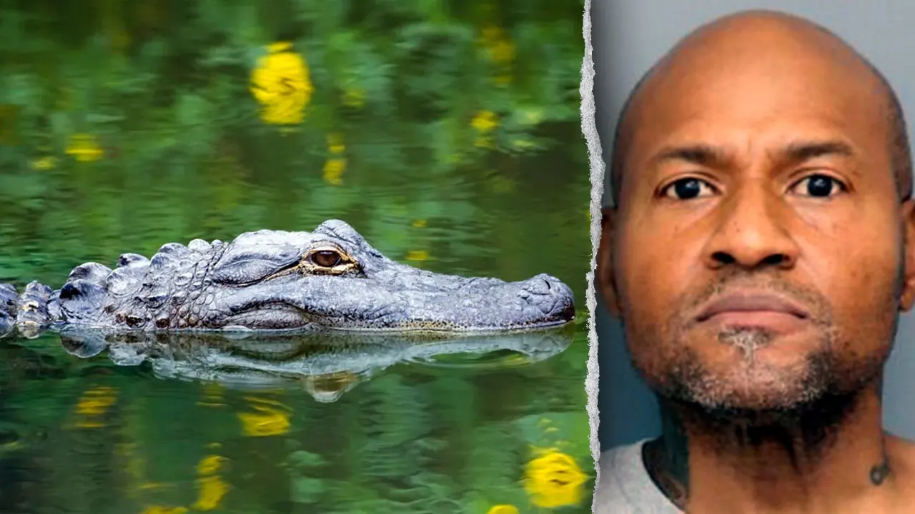 Maryland landlord charged with assault had weapons, an alligator, and an emu at his residence