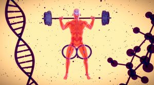 Men's Testosterone Levels Have Decreased by 50% in the Last 50 Years, Causing Concern Among Scientists
