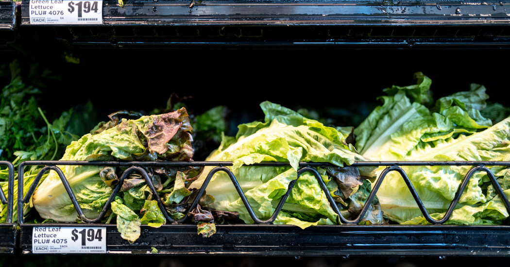 Michigan Health Officials Determine Possible Origin of Cyclospora Outbreak