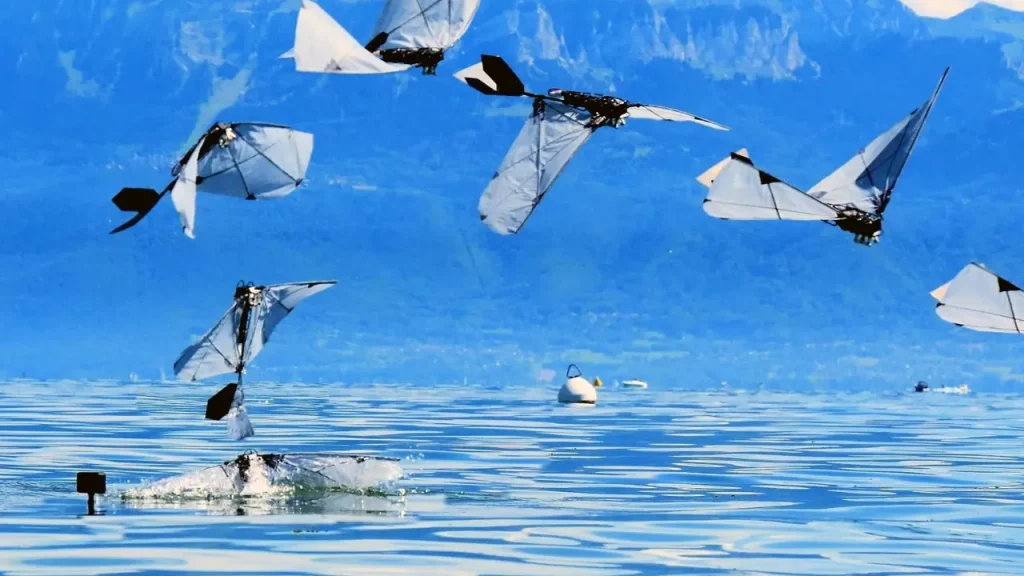 MIT and EPFL create a robotic bird that can fly, dive, and swim underwater