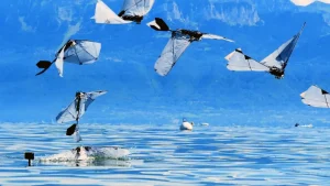 MIT and EPFL create a robotic bird that can fly, dive, and swim underwater