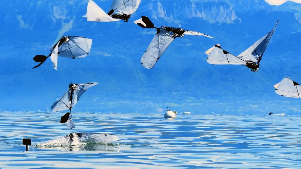 MIT and EPFL create a robotic bird that can fly, dive, and swim underwater
