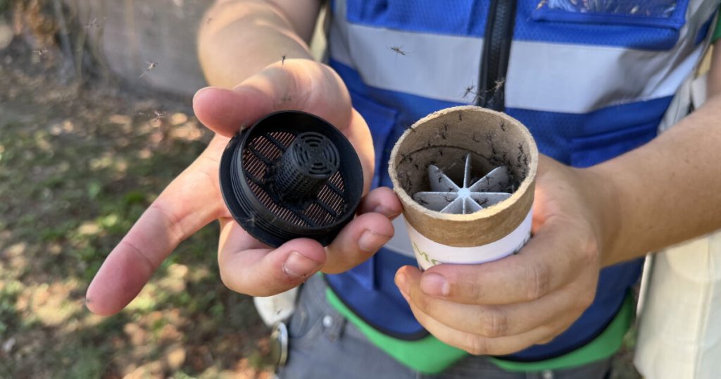 Mosquito season has arrived, especially if your ankles have felt it. Here's how people are fighting back.