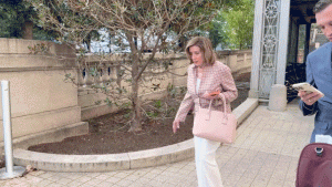 Nancy Pelosi declines to discuss the hit-and-run charge against Paul Pelosi