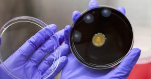 New York City Implements Steps to Reduce Legionnaires’ Disease Spread