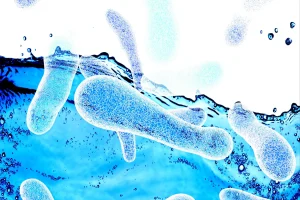 New York City's Legionnaires' disease outbreak reaches 59 cases, with bacteria now found for the first time in a park and at an upscale building on the Upper West Side.