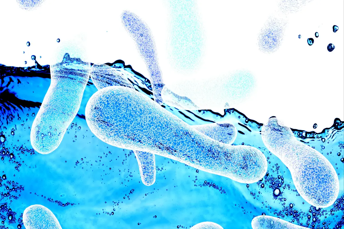 New York City's Legionnaires' disease outbreak reaches 59 cases, with bacteria now found for the first time in a park and at an upscale building on the Upper West Side.