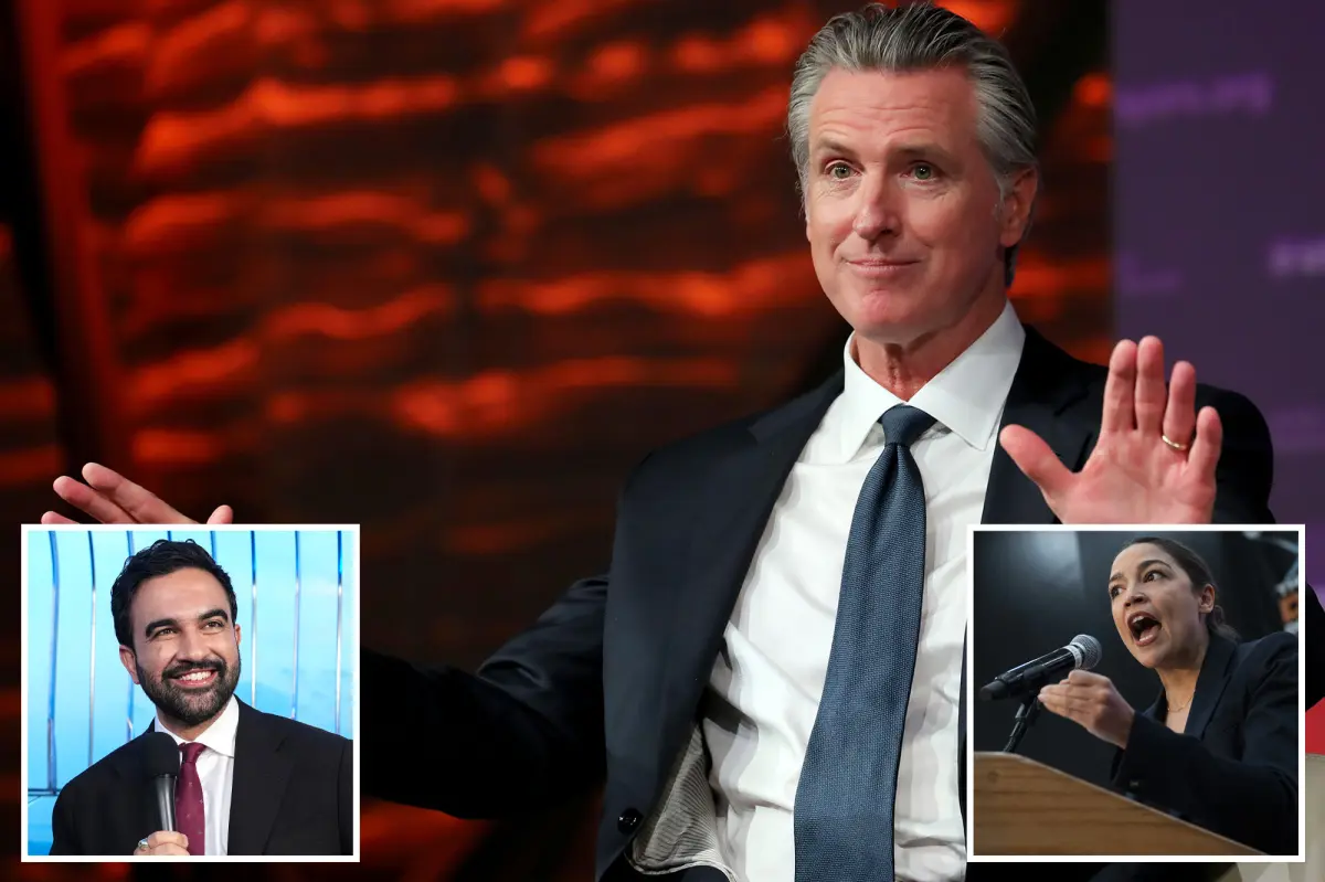 Newsom advises Democrats to focus on 'adding, not subtracting' when dealing with socialists